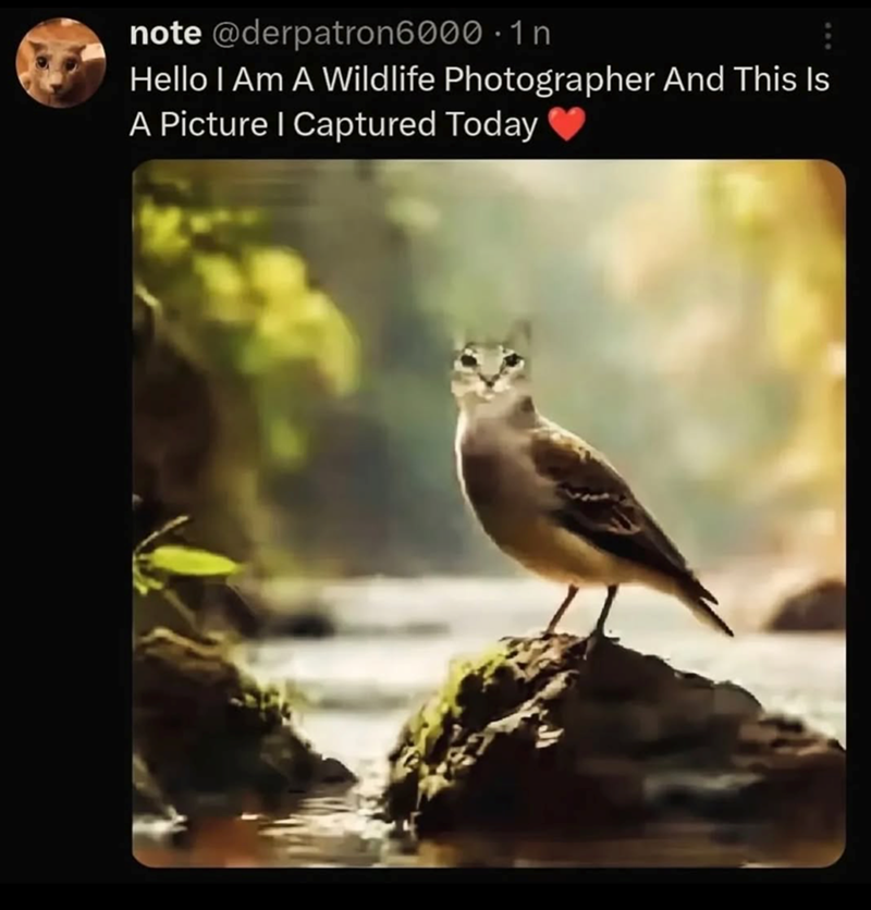 note @derpatron6000.1 n Hello I Am A Wildlife Photographer And This Is A Picture | Captured Today
