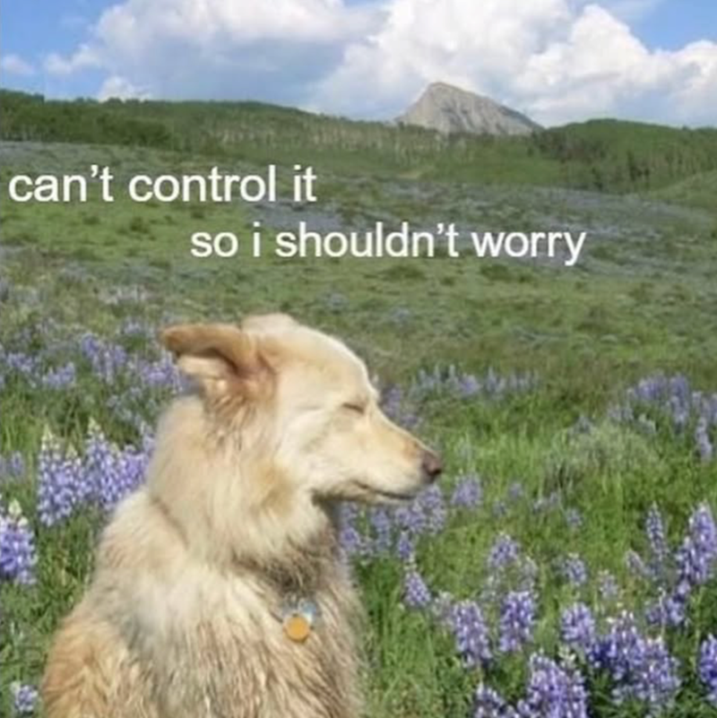 can't control it so i shouldn't worry