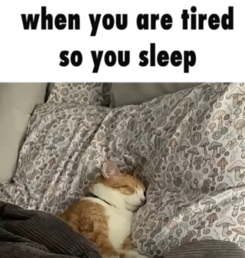 when you are tired so you sleep