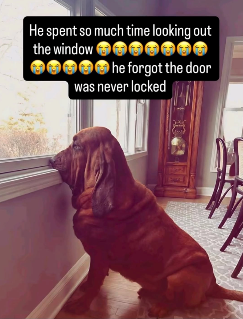 He spent so much time looking out the window he forgot the door was never locked