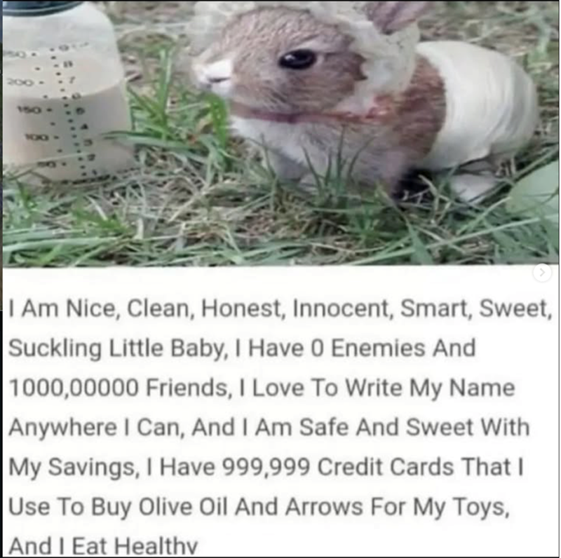 I Am Nice, Clean, Honest, Innocent, Smart, Sweet, Suckling Little Baby, I Have 0 Enemies And 1000,00000 Friends, I Love To Write My Name Anywhere I Can, And I Am Safe And Sweet With My Savings, I Have 999,999 Credit Cards That I Use To Buy Olive Oil And Arrows For My Toys, And I Eat Healthy
