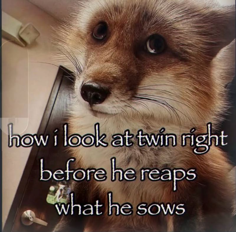 how i look at twin right before he reaps what he sows