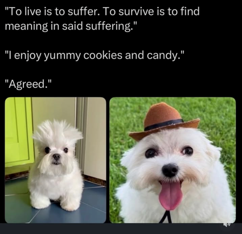 "To live is to suffer. To survive is to find meaning in said suffering." "I enjoy yummy cookies and candy." "Agreed."