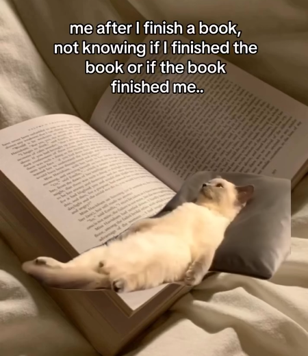 me after I finish a book, not knowing if I finished the book or if the book finished me.. the