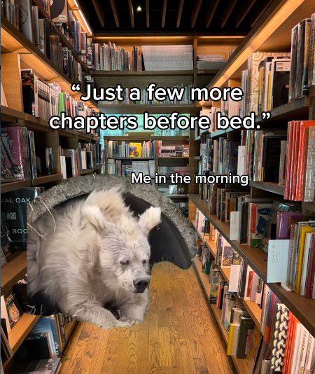 "Just a few more chapters before bed." AL OAK 39 BOC Me in the morning