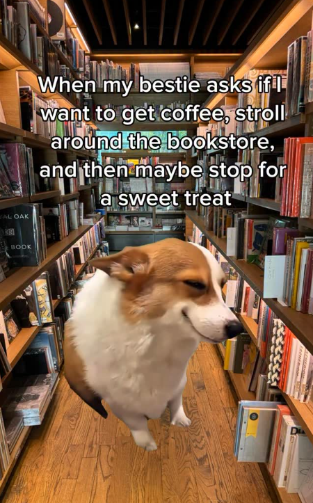 When my bestie asks if I want to get coffee, stroll around the bookstore, and then maybe stop for a sweet treat AL OAK 39 BOOK CHERION