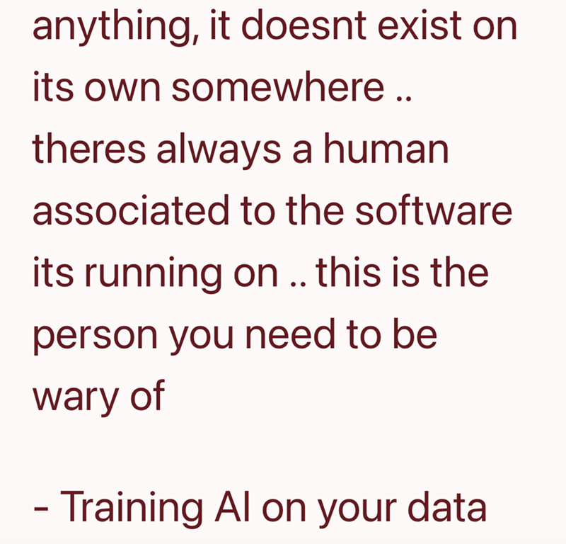 anything, it doesnt exist on its own somewhere .. theres always a human associated to the software its running on .. this is the person you need to be wary of - Training Al on your data