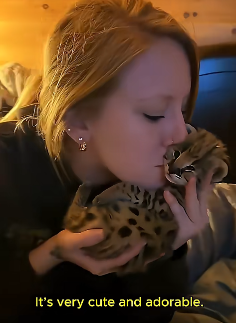It's very cute and adorable.