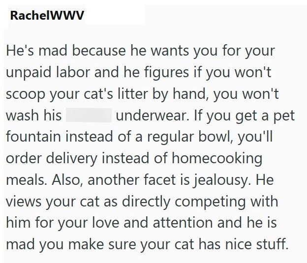 RachelWWV He's mad because he wants you for your unpaid labor and he figures if you won't scoop your cat's litter by hand, you won't wash his underwear. If you get a pet fountain instead of a regular bowl, you'll order delivery instead of homecooking meals. Also, another facet is jealousy. He views your cat as directly competing with him for your love and attention and he is mad you make sure your cat has nice stuff.