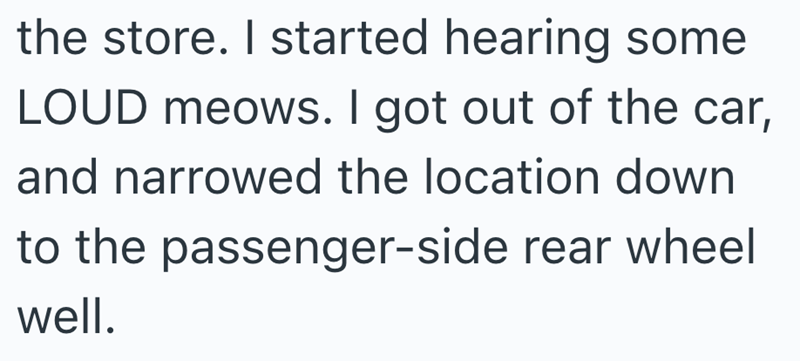 the store. I started hearing some LOUD meows. I got out of the car, and narrowed the location down to the passenger-side rear wheel well.