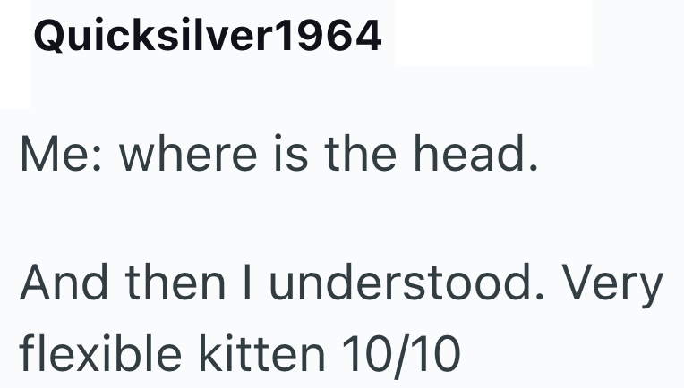 Quicksilver1964 Me: where is the head. And then I understood. Very flexible kitten 10/10
