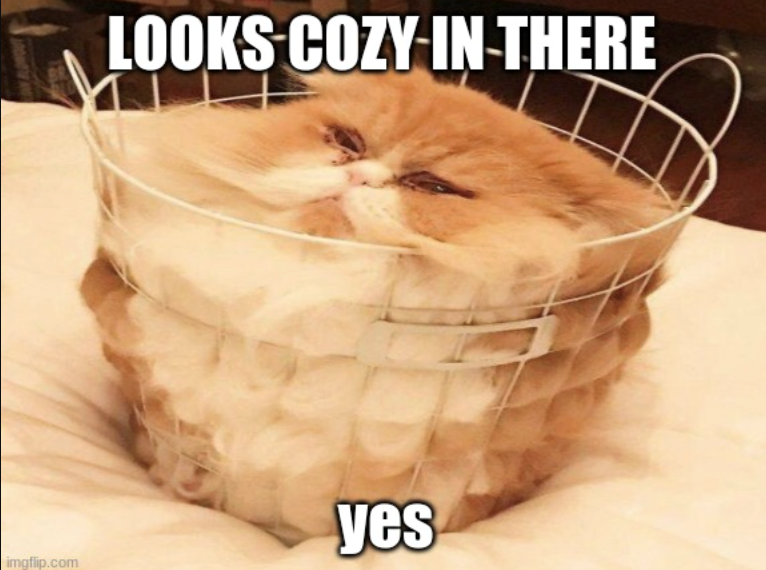 LOOKS COZY-IN-THERE imgflip.com yes