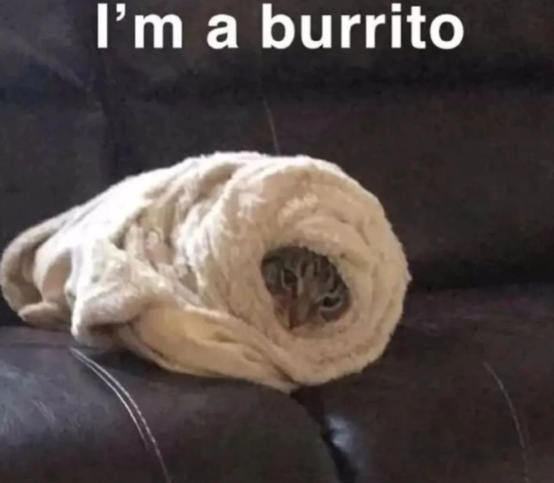 I'm a burrito
