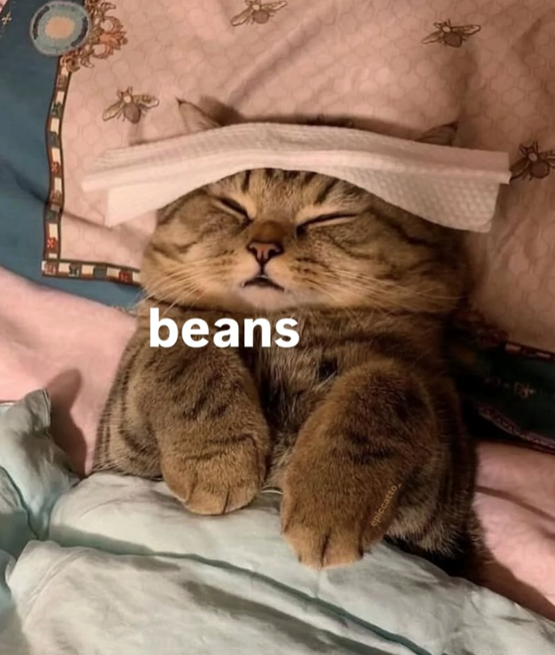 beans