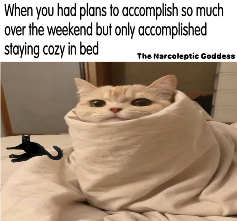 When you had plans to accomplish so much. over the weekend but only accomplished staying cozy in bed The Narcoleptic Goddess