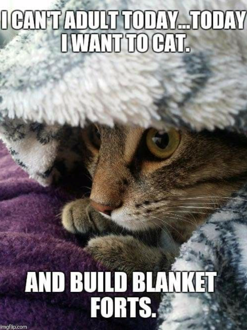 I CAN'T ADULT TODAY...TODAY I WANT TO CAT. imgflip.com AND BUILD BLANKET FORTS.