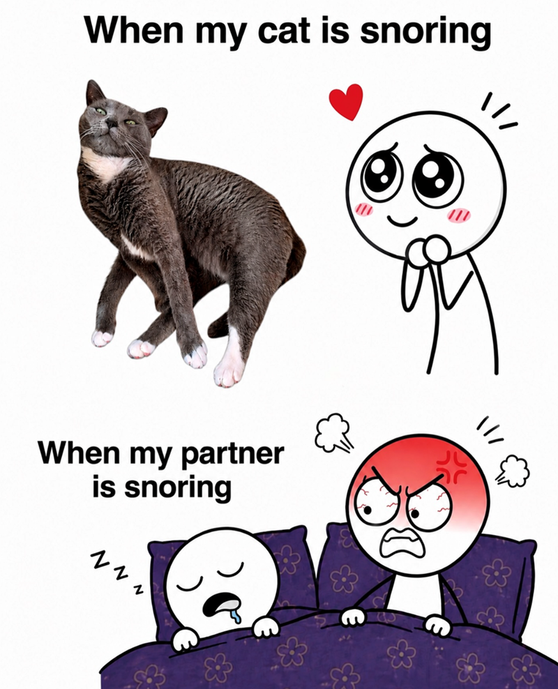 When my cat is snoring When my partner is snoring Z Z 65 11/