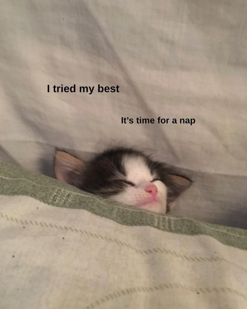 I tried my best It's time for a nap