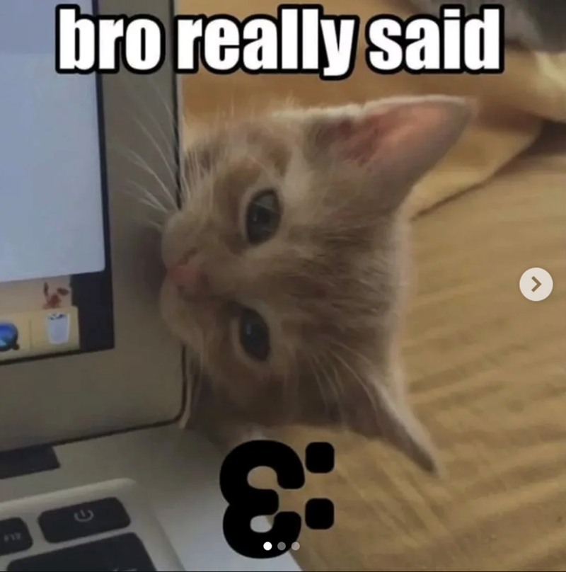 ALF ن :3 bro really said