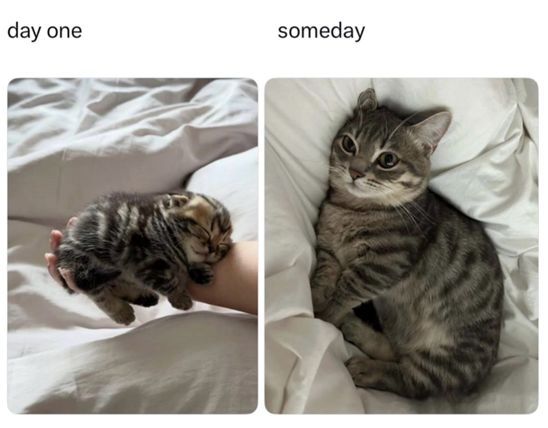 day one someday