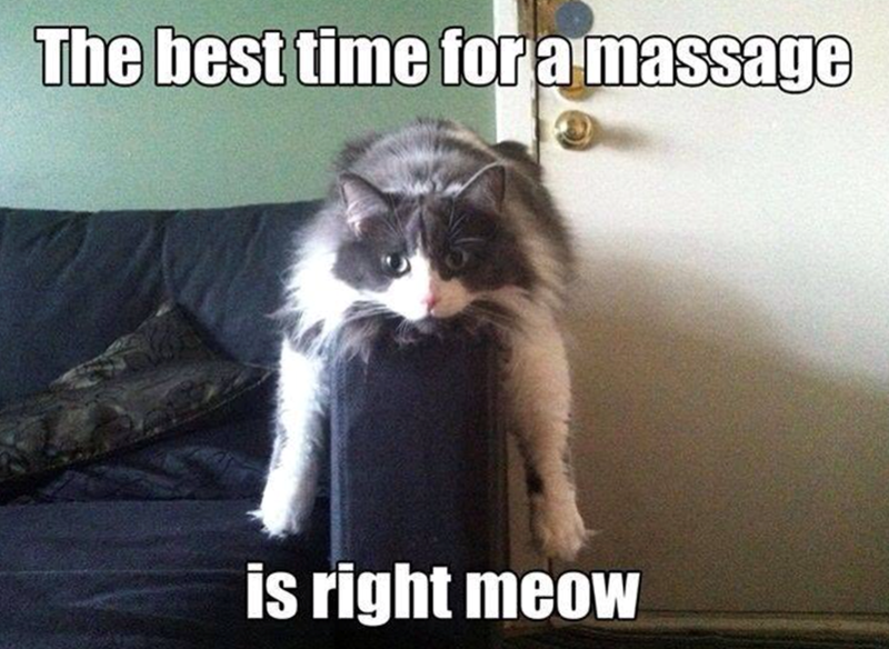 The best time for a massage is right meow
