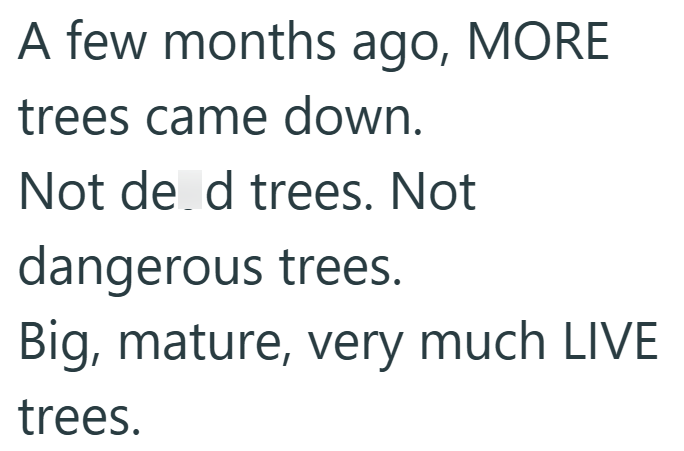 A few months ago, MORE trees came down. Not de d trees. Not dangerous trees. Big, mature, very much LIVE trees.