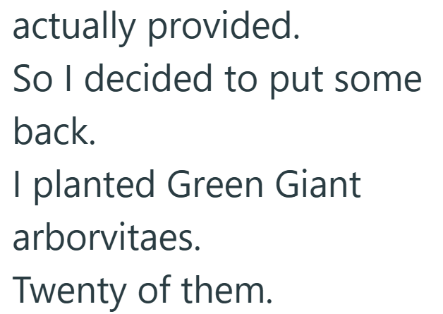 actually provided. So I decided to put some back. I planted Green Giant arborvitaes. Twenty of them.