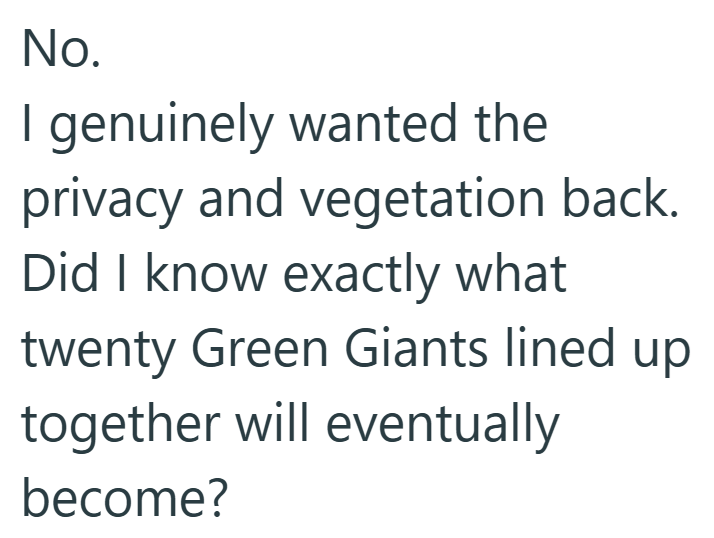 No. I genuinely wanted the privacy and vegetation back. Did I know exactly what twenty Green Giants lined up together will eventually become?