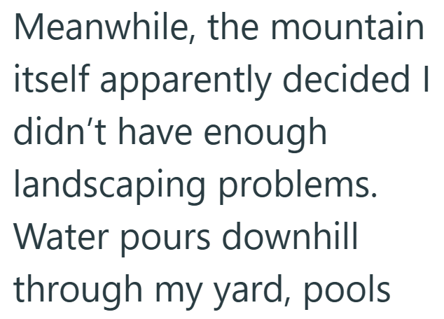Meanwhile, the mountain itself apparently decided I didn't have enough landscaping problems. Water pours downhill through my yard, pools