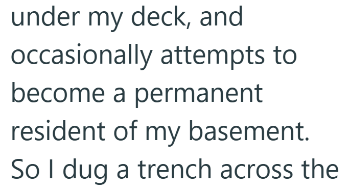 under my deck, and occasionally attempts to become a permanent resident of my basement. So I dug a trench across the