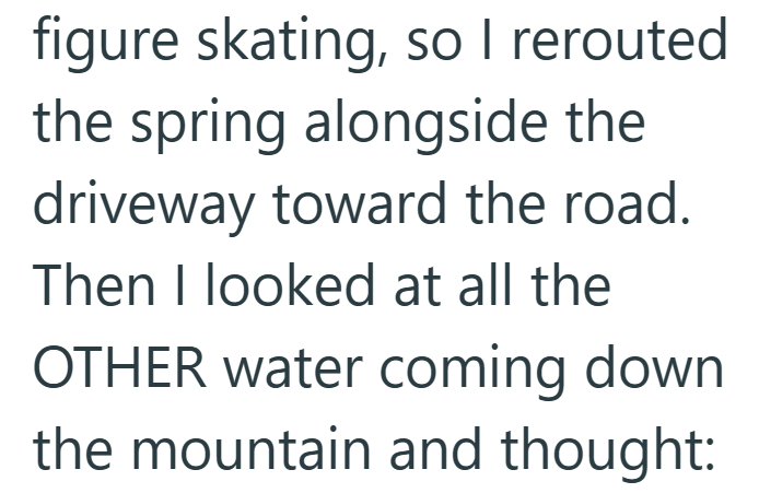 figure skating, so I rerouted the spring alongside the driveway toward the road. Then I looked at all the OTHER water coming down the mountain and thought: