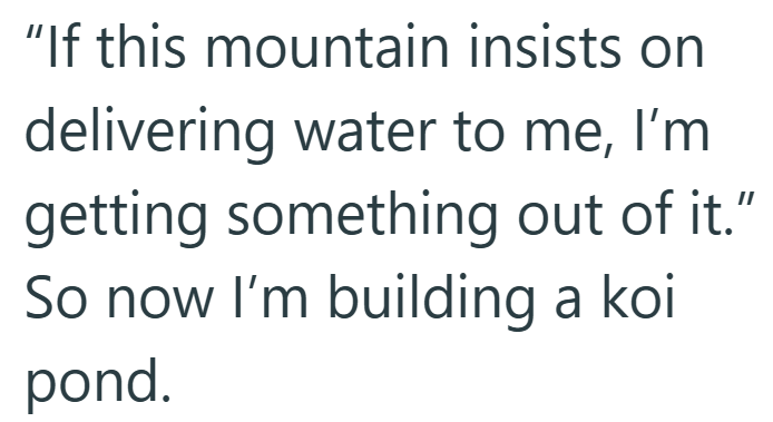 "If this mountain insists on delivering water to me, I'm getting something out of it." So now I'm building a koi pond.
