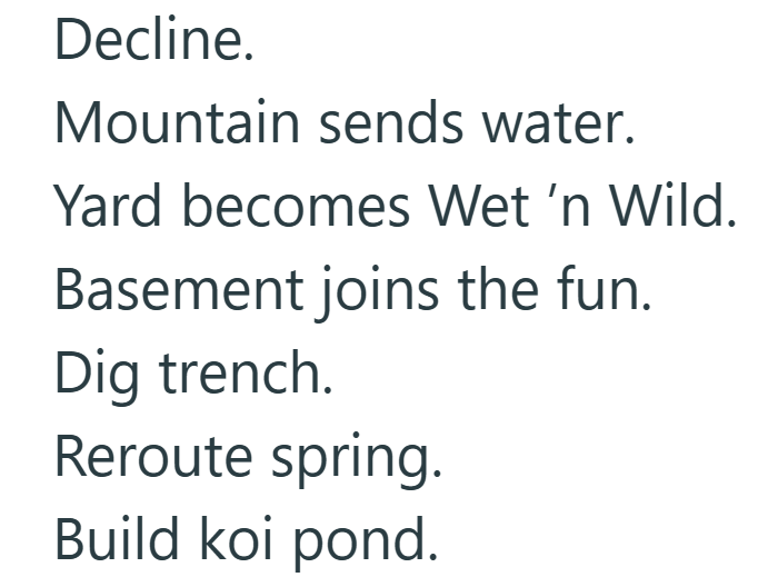 Decline. Mountain sends water. Yard becomes Wet 'n Wild. Basement joins the fun. Dig trench. Reroute spring. Build koi pond.