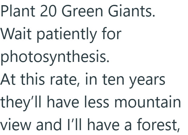 Plant 20 Green Giants. Wait patiently for photosynthesis. At this rate, in ten years they'll have less mountain view and I'll have a forest,