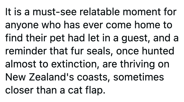 It is a must-see relatable moment for anyone who has ever come home to find their pet had let in a guest, and a reminder that fur seals, once hunted almost to extinction, are thriving on New Zealand's coasts, sometimes closer than a cat flap.