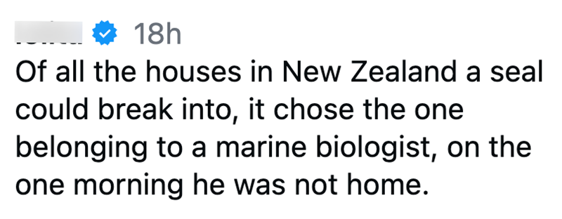 * 18h Of all the houses in New Zealand a seal could break into, it chose the one belonging to a marine biologist, on the one morning he was not home.