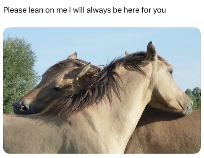 Please lean on me I will always be here for you