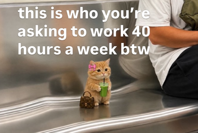 this is who you're asking to work 40 hours a week btw