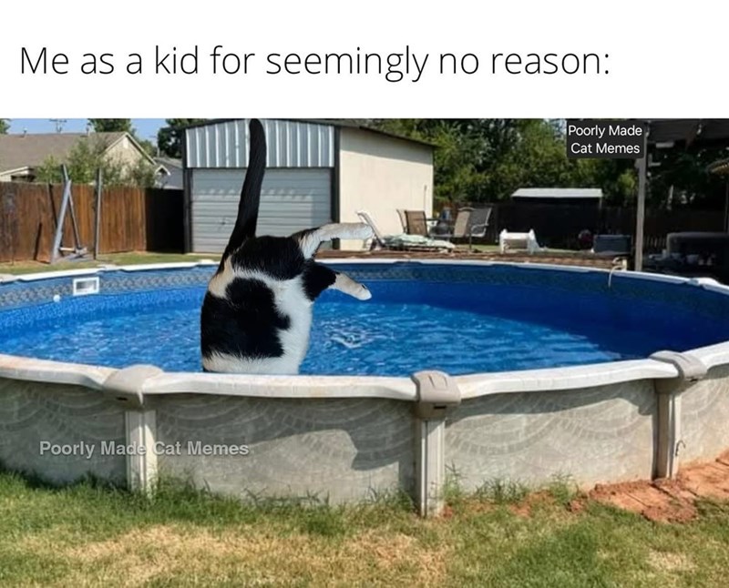 Me as a kid for seemingly no reason: Poorly Made Cat Memes Poorly Made Cat Memes