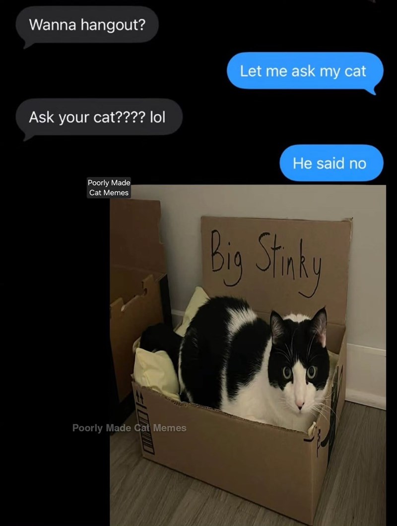 Wanna hangout? Ask your cat???? lol Let me ask my cat Poorly Made Cat Memes MEDE Poorly Made Cat Memes He said no Big Stinky