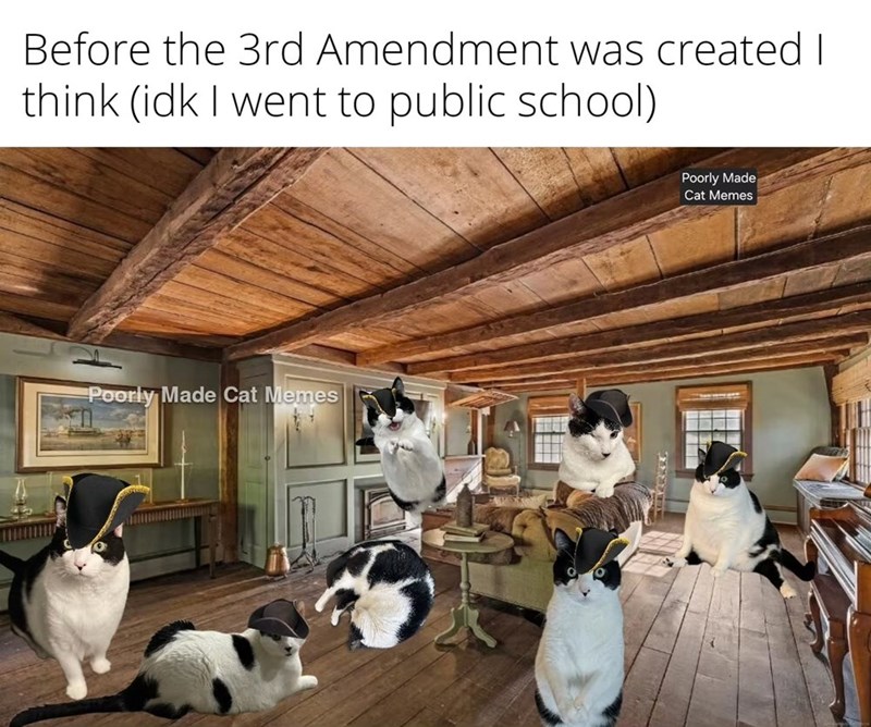 Before the 3rd Amendment was created I think (idk I went to public school) Poorly Made Cat Memes Poorly Made Cat Memes