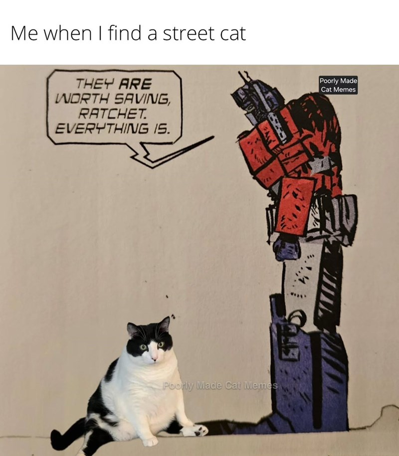 Me when I find a street cat THEY ARE WORTH SAVING, RATCHET EVERYTHING IS. Poorly Made Cat Memes Poorly Made Cat Memes