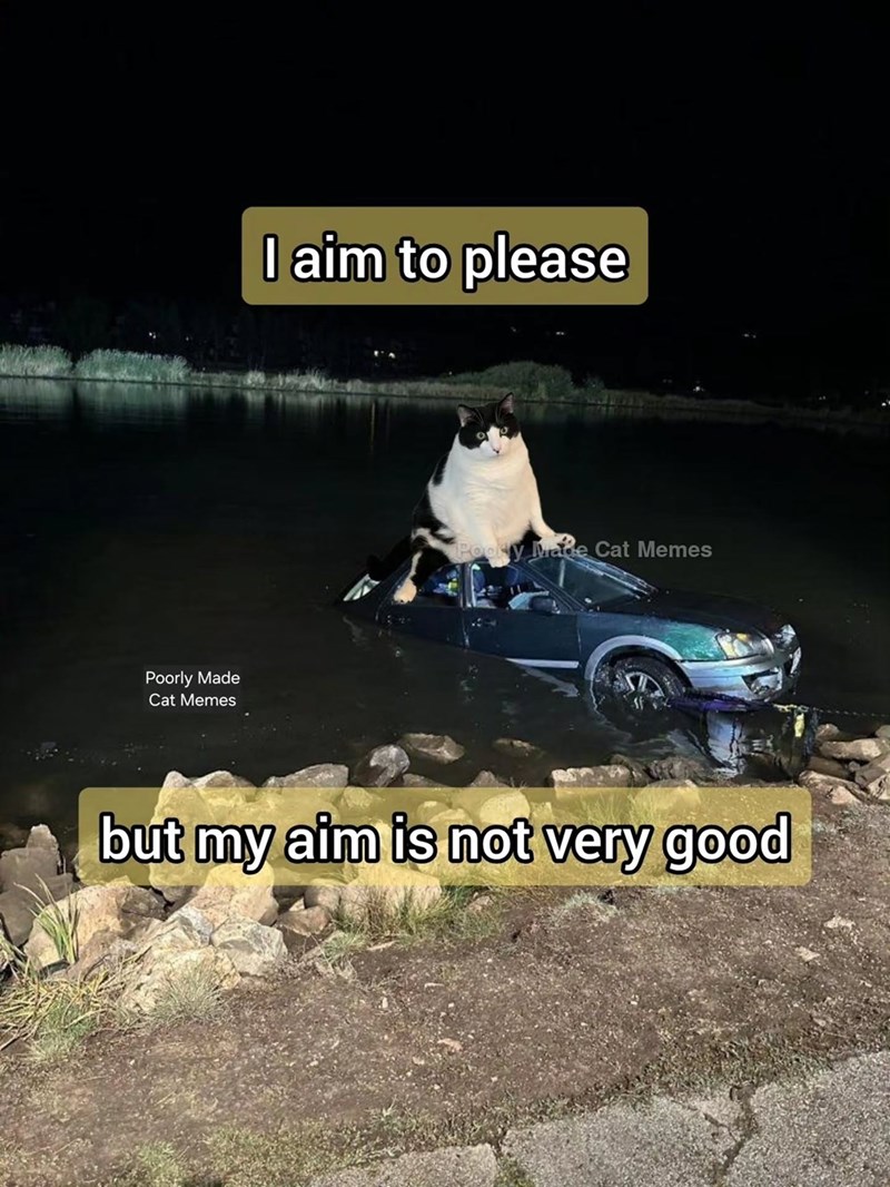 Poorly Made Cat Memes I aim to please Poorly Made Cat Memes but my aim is not very good