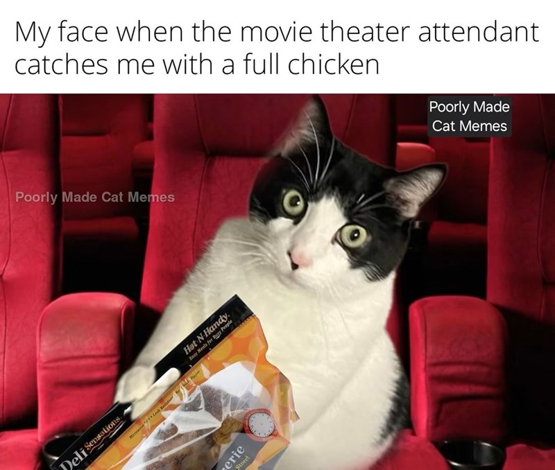 My face when the movie theater attendant catches me with a full chicken Poorly Made Cat Memes Microwave Leak Resistame Zipper Hot N Handy. Easy Meals for Busy People Deli Sensations. erie Store! Poorly Made Cat Memes