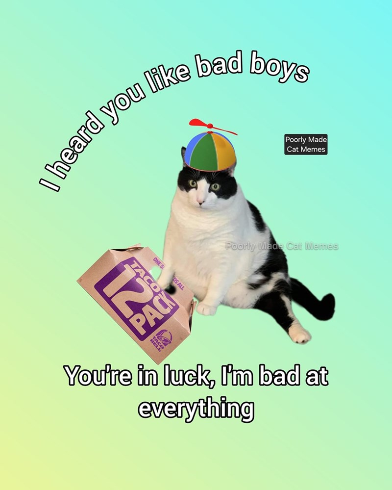 I heard you like bad boys Poorly Made Cat Memes ONE S TACO DS ALL 125 TAC Poorly Made Cat Memes You're in luck, I'm bad at everything