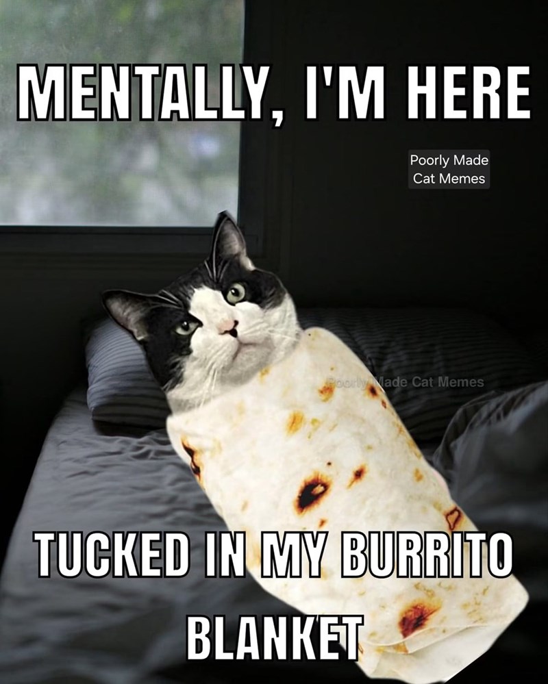 MENTALLY, I'M HERE " Poorly Made Cat Memes Poorly Made Cat Memes TUCKED IN MY BURRITO BLANKET