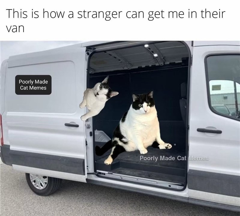 This is how a stranger can get me in their van Poorly Made Cat Memes Poorly Made Cat Memes