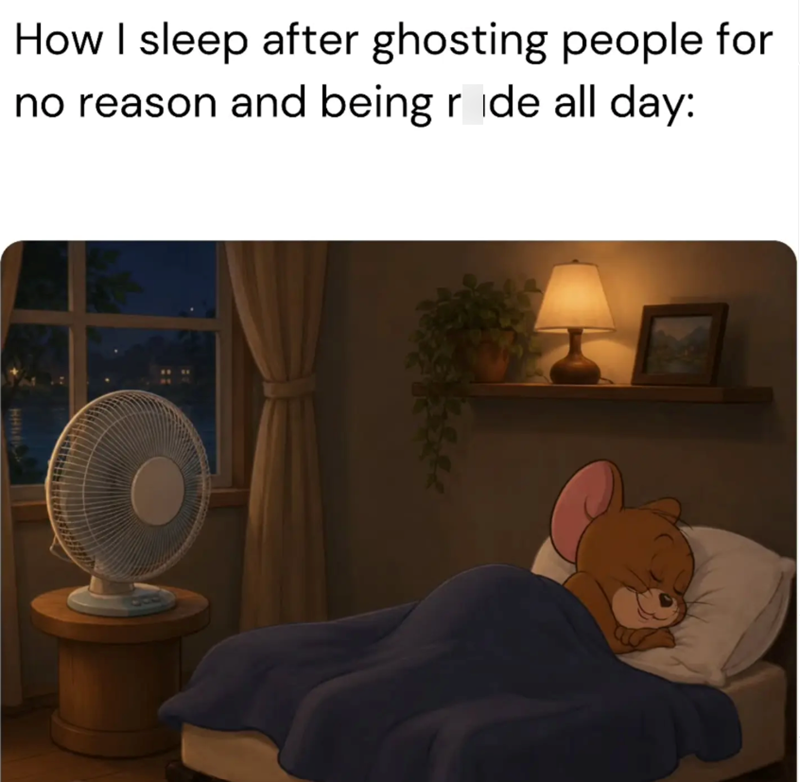 How I sleep after ghosting people for no reason and being ride all day: HHS