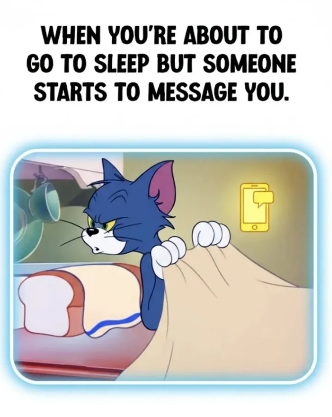 WHEN YOU'RE ABOUT TO GO TO SLEEP BUT SOMEONE STARTS TO MESSAGE YOU.