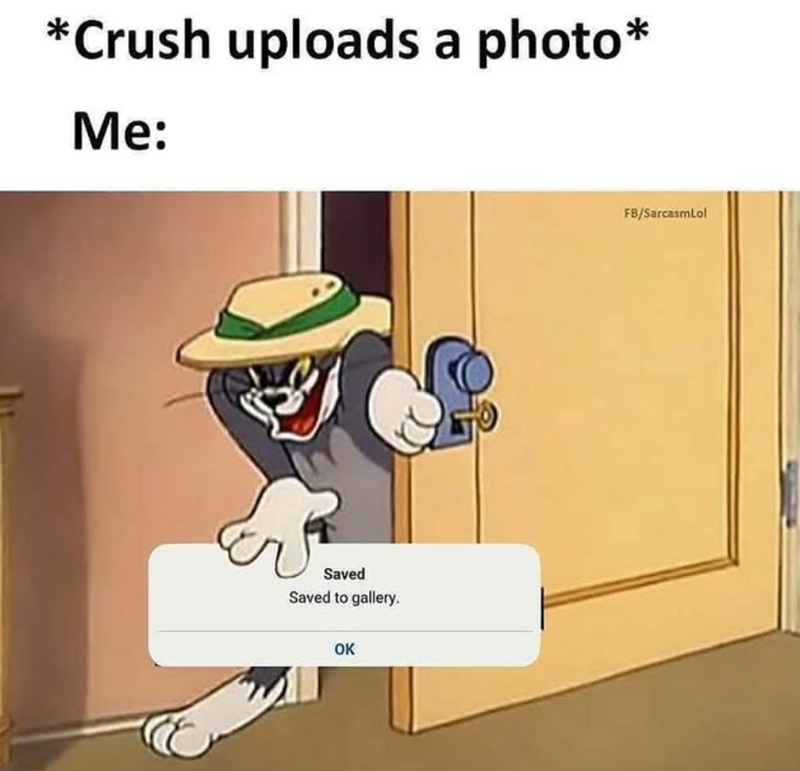 *Crush uploads a photo* Me: Saved Saved to gallery. OK FB/SarcasmLol